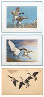 1936 Artist Signed Duck Stamp Framed Original Etching (RW3).
Original etching by artist Richard Bishop, light overall toning bu