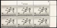 1945, $1 Shoveller Ducks Mint VF-XF N.H. Plate Block
Fresh very well-centered mint never hinged plate block of 6 stamps