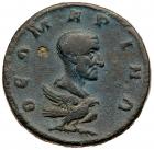 Julius Marinus, father of Philip I. AE (9.17 g), died before AD 244 EF